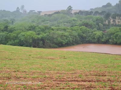 Produtores lamentam prejuÃ­zos ainda imensurÃ¡veis 